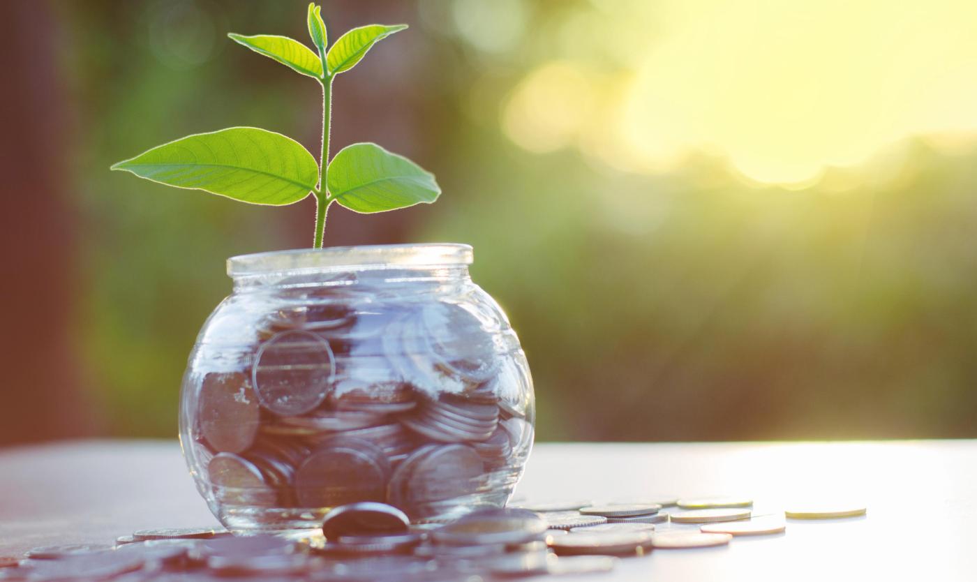 2022_Potje met geld waar een plantje uit groeit_S_237930475 2022_Potje met geld waar een plantje uit groeit_S_237930475